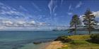 Lord Howe Island - NSW T (PBH4 00 11766)